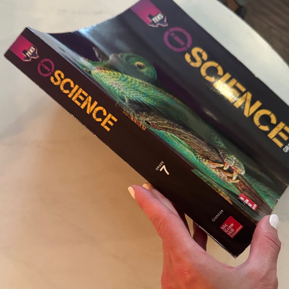 Colorful Chameleon Reptile Book - Picture 2 of 16